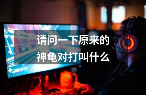 请问一下原来的神龟对打叫什么-第1张-游戏信息-龙启网
