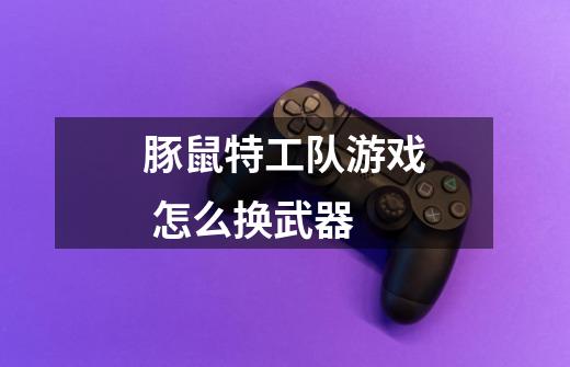 豚鼠特工队游戏 怎么换武器-第1张-游戏信息-龙启网