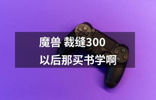 魔兽 裁缝300以后那买书学啊-第1张-游戏信息-龙启网