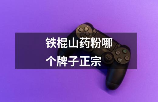 铁棍山药粉哪个牌子正宗-第1张-游戏信息-龙启网