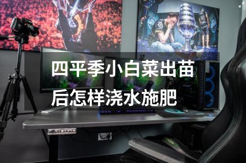 四平季小白菜出苗后怎样浇水施肥-第1张-游戏信息-龙启网