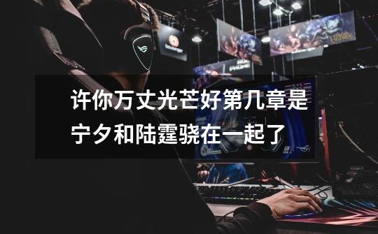 许你万丈光芒好第几章是宁夕和陆霆骁在一起了-第1张-游戏信息-龙启网