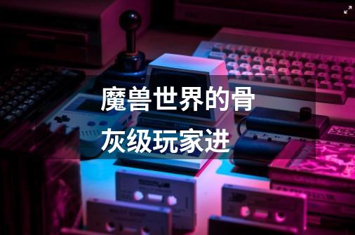 魔兽世界的骨灰级玩家进-第1张-游戏信息-龙启网
