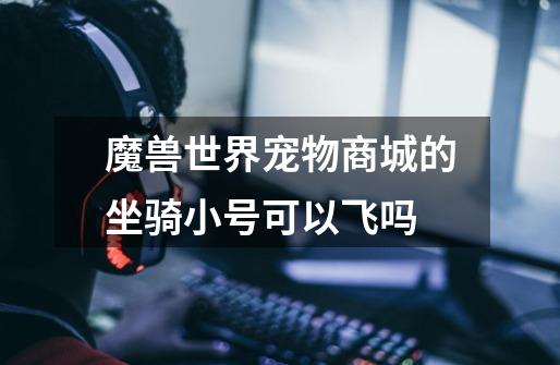 魔兽世界宠物商城的坐骑小号可以飞吗-第1张-游戏信息-龙启网