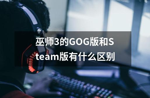 巫师3的GOG版和Steam版有什么区别-第1张-游戏信息-龙启网