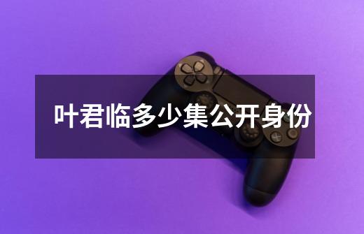 叶君临多少集公开身份-第1张-游戏信息-龙启网