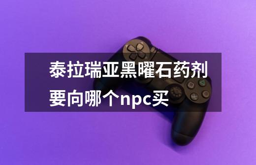 泰拉瑞亚黑曜石药剂要向哪个npc买-第1张-游戏信息-龙启网