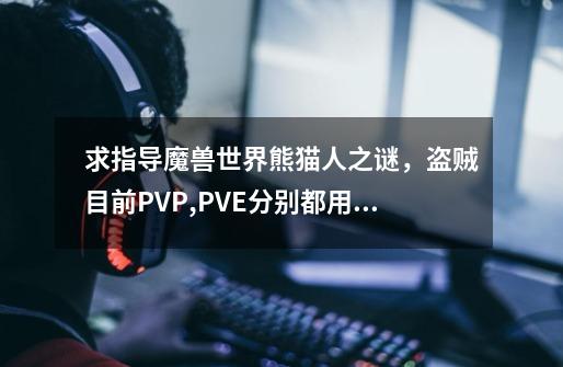 求指导魔兽世界熊猫人之谜,盗贼目前PVP,PVE分别都用什么专精好。 输出手法是什么-第1张-游戏信息-龙启网