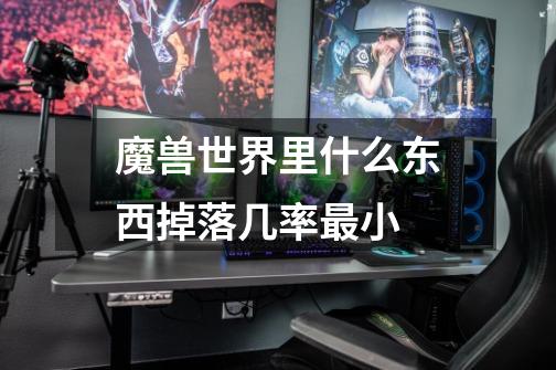 魔兽世界里什么东西掉落几率最小-第1张-游戏信息-龙启网