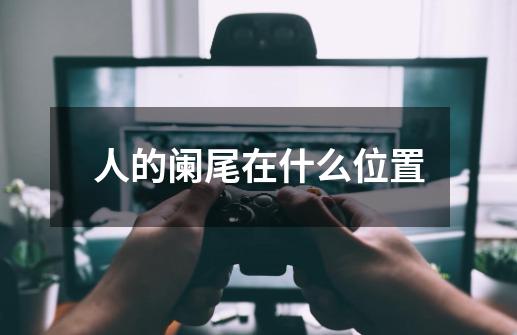 人的阑尾在什么位置-第1张-游戏信息-龙启网