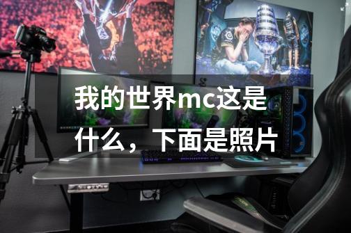 我的世界mc这是什么，下面是照片-第1张-游戏信息-龙启网