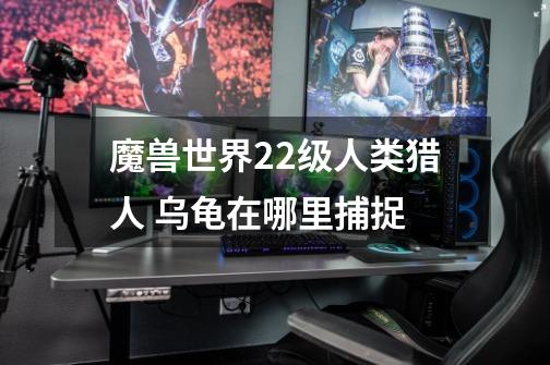 魔兽世界22级人类猎人 乌龟在哪里捕捉-第1张-游戏信息-龙启网