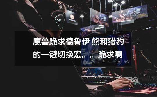 魔兽跪求德鲁伊 熊和猎豹的一键切换宏。。跪求啊-第1张-游戏信息-龙启网