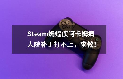 Steam蝙蝠侠阿卡姆疯人院补丁打不上,求教!-第1张-游戏信息-龙启网