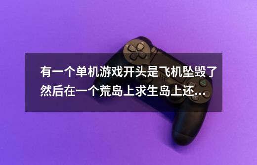 有一个单机游戏开头是飞机坠毁了然后在一个荒岛上求生岛上还有野人什么的请问叫什么-第1张-游戏信息-龙启网
