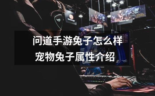 问道手游兔子怎么样 宠物兔子属性介绍-第1张-游戏信息-龙启网