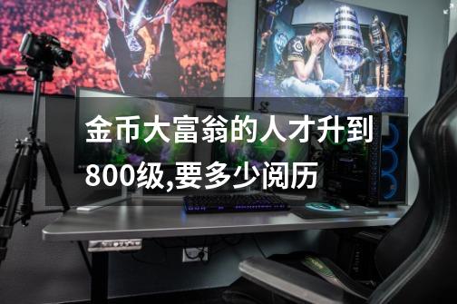 金币大富翁的人才升到800级,要多少阅历-第1张-游戏信息-龙启网