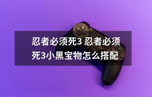 忍者必须死3 忍者必须死3小黑宝物怎么搭配-第1张-游戏信息-龙启网