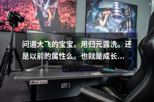 问道大飞的宝宝。用归元露洗。还是以前的属性么。也就是成长不变么-第1张-游戏信息-龙启网