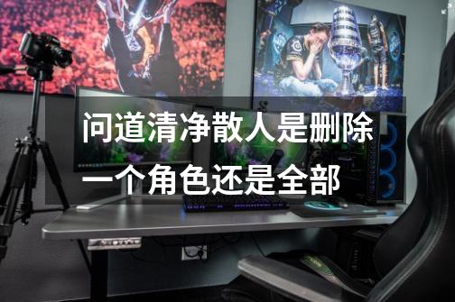 问道清净散人是删除一个角色还是全部-第1张-游戏信息-龙启网