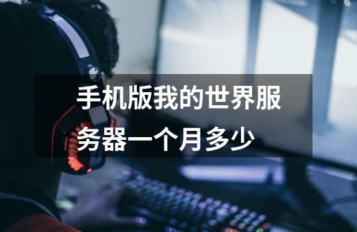 手机版我的世界服务器一个月多少-第1张-游戏信息-龙启网