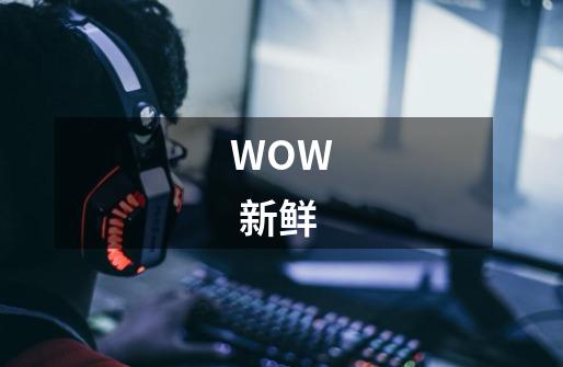 WOW  新鲜-第1张-游戏信息-龙启网