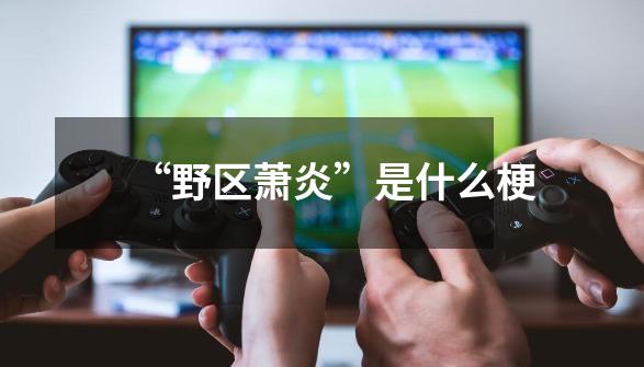 “野区萧炎”是什么梗-第1张-游戏信息-龙启网