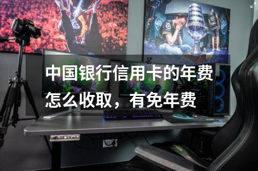中国银行信用卡的年费怎么收取,有免年费-第1张-游戏信息-龙启网