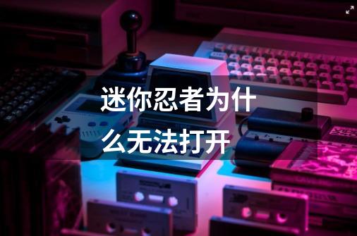 迷你忍者为什么无法打开-第1张-游戏信息-龙启网