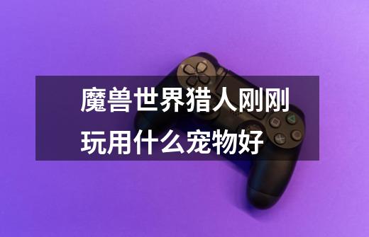 魔兽世界猎人刚刚玩用什么宠物好-第1张-游戏信息-龙启网