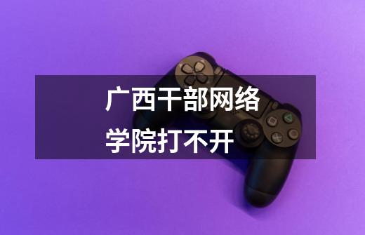 广西干部网络学院打不开-第1张-游戏信息-龙启网