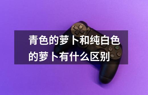 青色的萝卜和纯白色的萝卜有什么区别-第1张-游戏信息-龙启网
