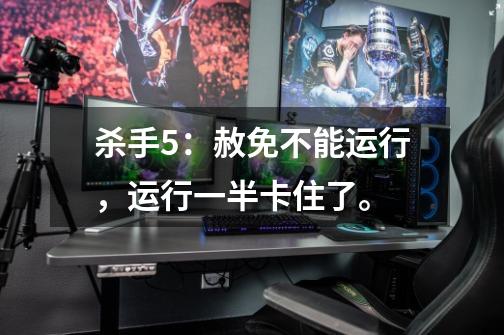 杀手5：赦免不能运行，运行一半卡住了。-第1张-游戏信息-龙启网