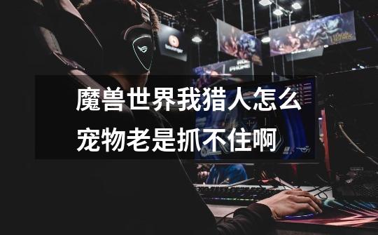 魔兽世界我猎人怎么宠物老是抓不住啊-第1张-游戏信息-龙启网