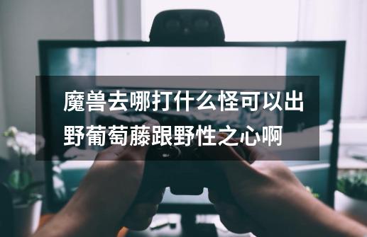 魔兽去哪打什么怪可以出野葡萄藤跟野性之心啊-第1张-游戏信息-龙启网