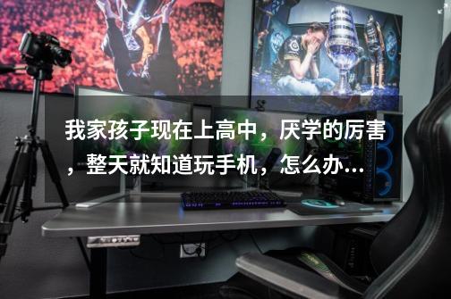 我家孩子现在上高中,厌学的厉害,整天就知道玩手机,怎么办呢-第1张-游戏信息-龙启网