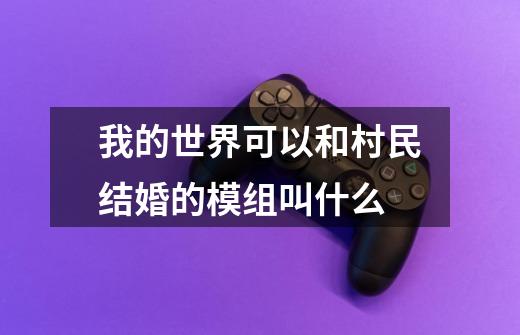 我的世界可以和村民结婚的模组叫什么-第1张-游戏信息-龙启网