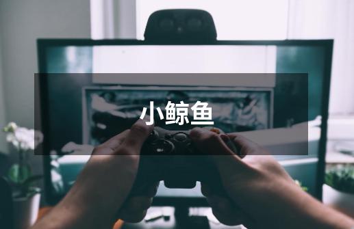 小鲸鱼-第1张-游戏信息-龙启网