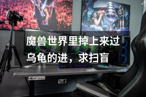 魔兽世界里掉上来过乌龟的进,求扫盲-第1张-游戏信息-龙启网