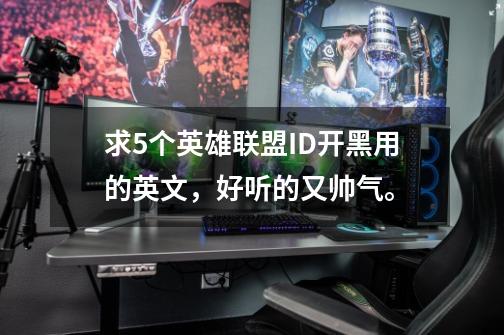 求5个英雄联盟ID开黑用的英文，好听的又帅气。-第1张-游戏信息-龙启网