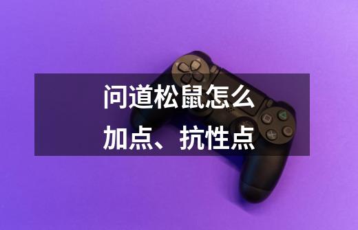问道松鼠怎么加点、抗性点-第1张-游戏信息-龙启网