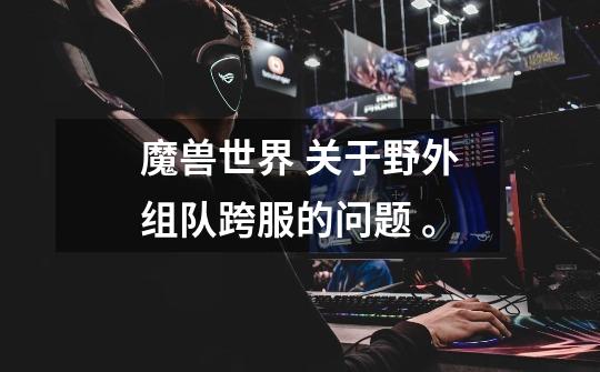 魔兽世界 关于野外组队跨服的问题 。-第1张-游戏信息-龙启网