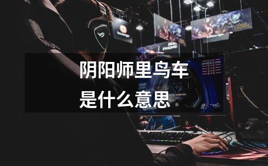 阴阳师里鸟车是什么意思-第1张-游戏信息-龙启网