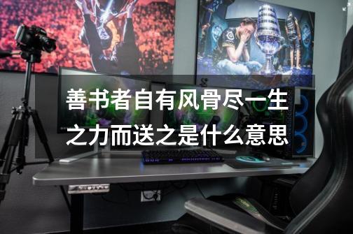 善书者自有风骨尽一生之力而送之是什么意思-第1张-游戏信息-龙启网