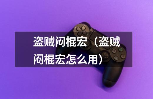 盗贼闷棍宏(盗贼闷棍宏怎么用)-第1张-游戏信息-龙启网