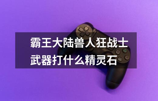 霸王大陆兽人狂战士武器打什么精灵石-第1张-游戏信息-龙启网