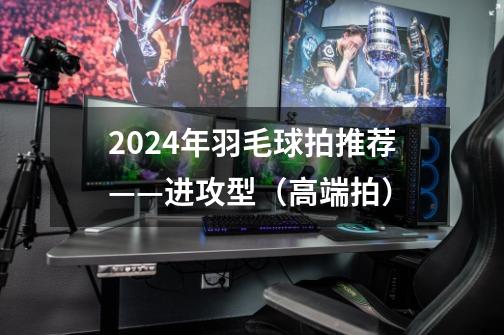 2024年羽毛球拍推荐——进攻型(高端拍)-第1张-游戏信息-龙启网