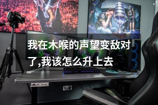 我在木喉的声望变敌对了,我该怎么升上去-第1张-游戏信息-龙启网