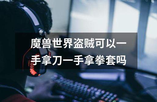 魔兽世界盗贼可以一手拿刀一手拿拳套吗-第1张-游戏信息-龙启网
