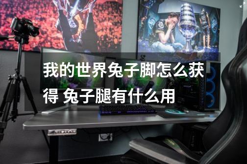 我的世界兔子脚怎么获得 兔子腿有什么用-第1张-游戏信息-龙启网